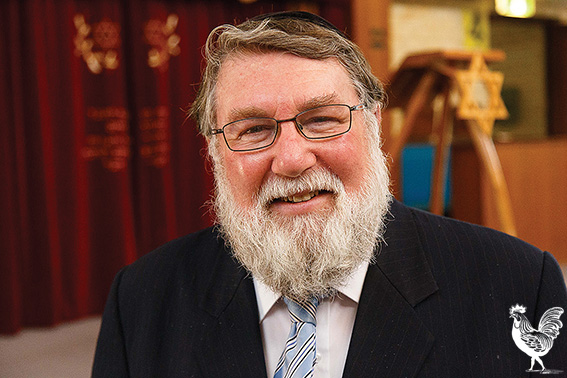 Rabbi frelich